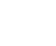 lang-icon